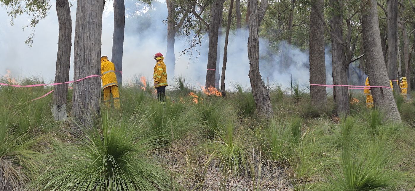 Brigade volunteers in yellow protective clothing supervising a low-intensity mitigation burn through jarrah forest